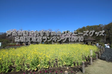 芦花公園でおすすめのジャニーズグッズ高額買取店ランキングTOP10